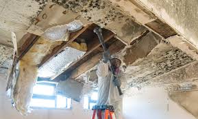 Best Residential Mold Inspection & Testing  in Pierson, FL